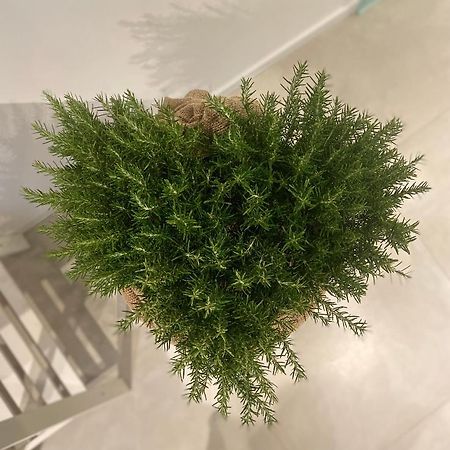 Viesterooms 외부 사진